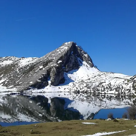 Cozy With Pool & Terrace *